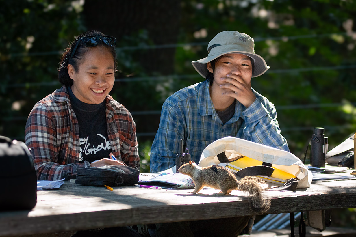 Undergraduate researchers Tia Ravara from UW-Eau Claire, left, and Ryann Su of UC Davis watch a squirrel during the 2023 field season. They were part of "Team Squirrel," a long-term research project co-led by UW-Eau Claire and UC Davis to study California ground squirrel behavioral ecology at Briones Regional Park in Contra Costa County. (Sonja Wild, UC Davi