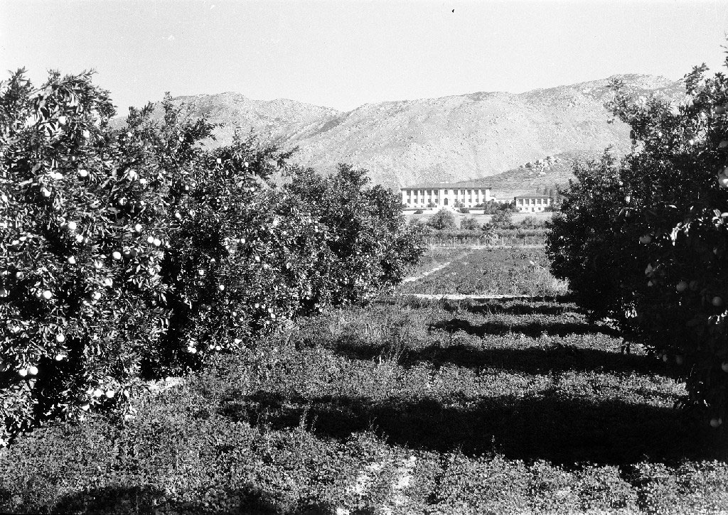 UC Riverside Citrus Experiment station. Courtesy University of California